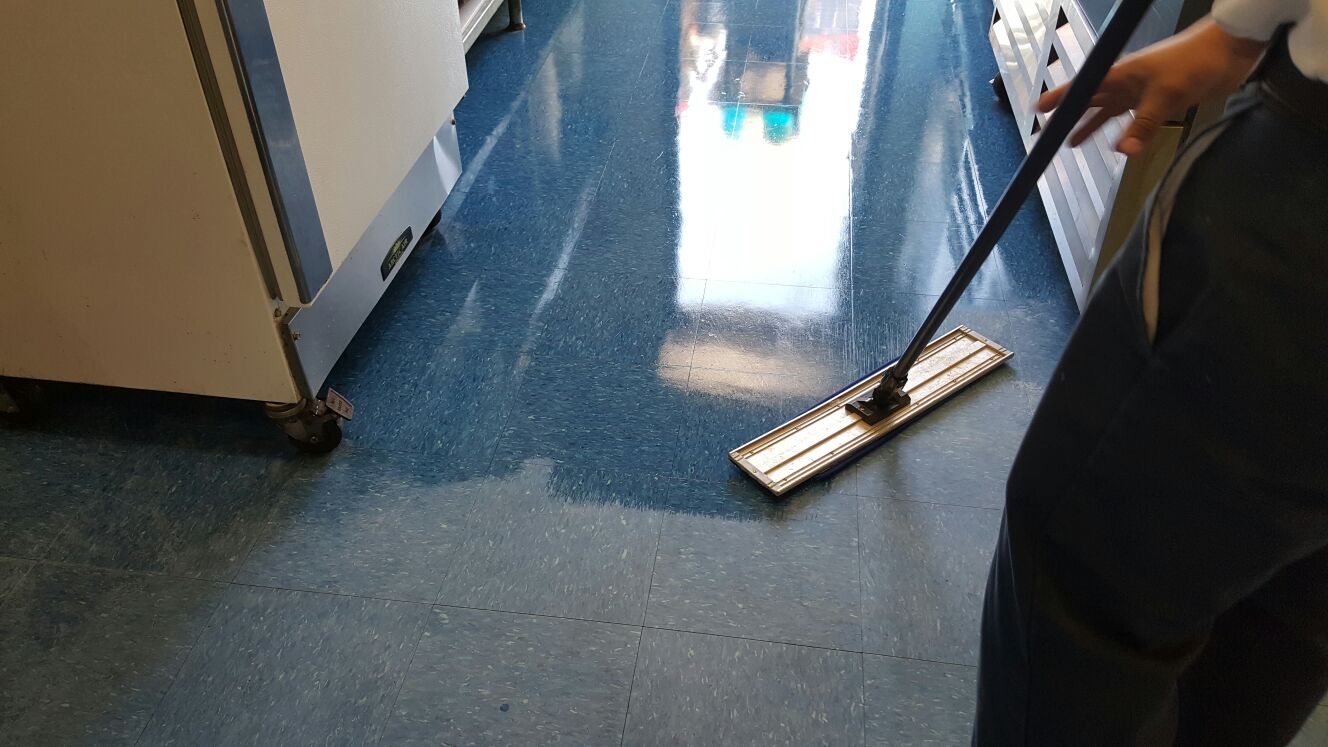 Silver State Floor Restoration - Blue Diamond, NV
