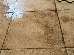 Silver State Floor Restoration - Red Rock Country Club, NV