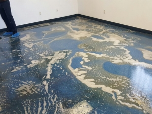 Silver State Floor Restoration - Country Club Estates, NV