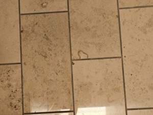 Silver State Floor Restoration of Las Vegas, NV