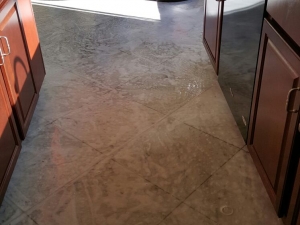 Silver State Floor Restoration - Sun City Summerlin, NV