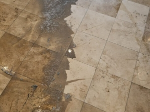Silver State Floor Restoration of Las Vegas, NV